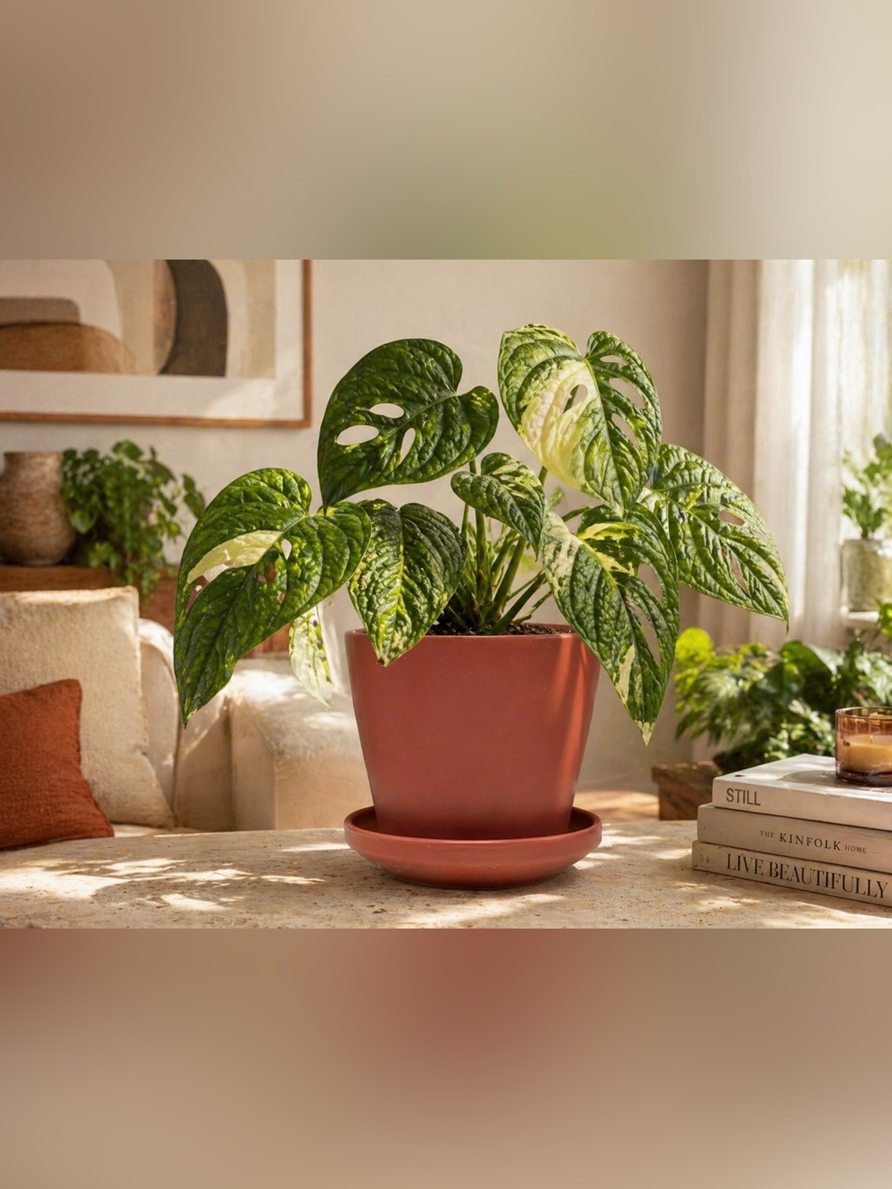 6 Inch Terracotta Ceramic Planter with Saucer - Modern Round Indoor Pot
